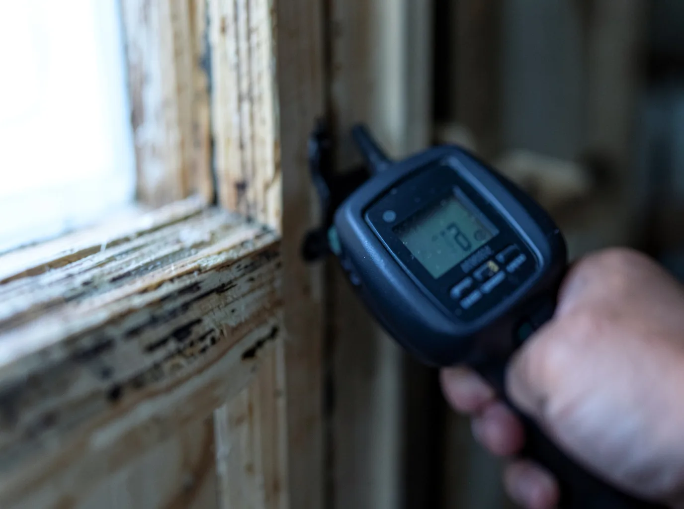 Moisture Inspection And Documentation in Eglon, WV